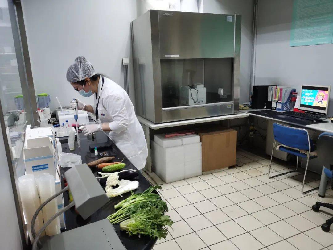 大厂食品检测实验室装修方案